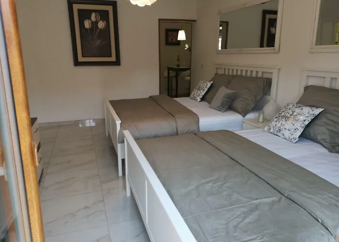 Odisey 波斯托伊纳